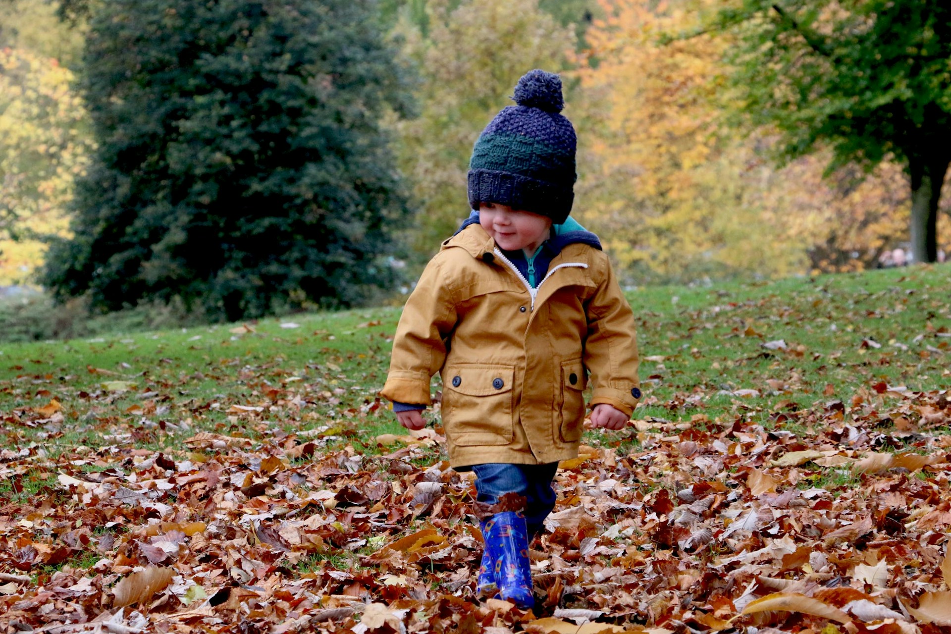 Child in autumn