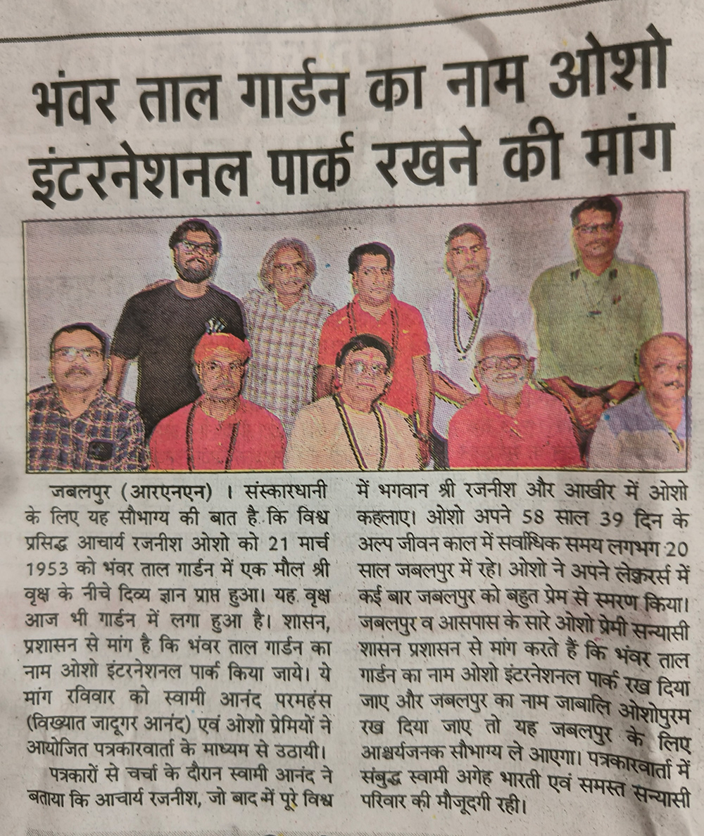 press clipping