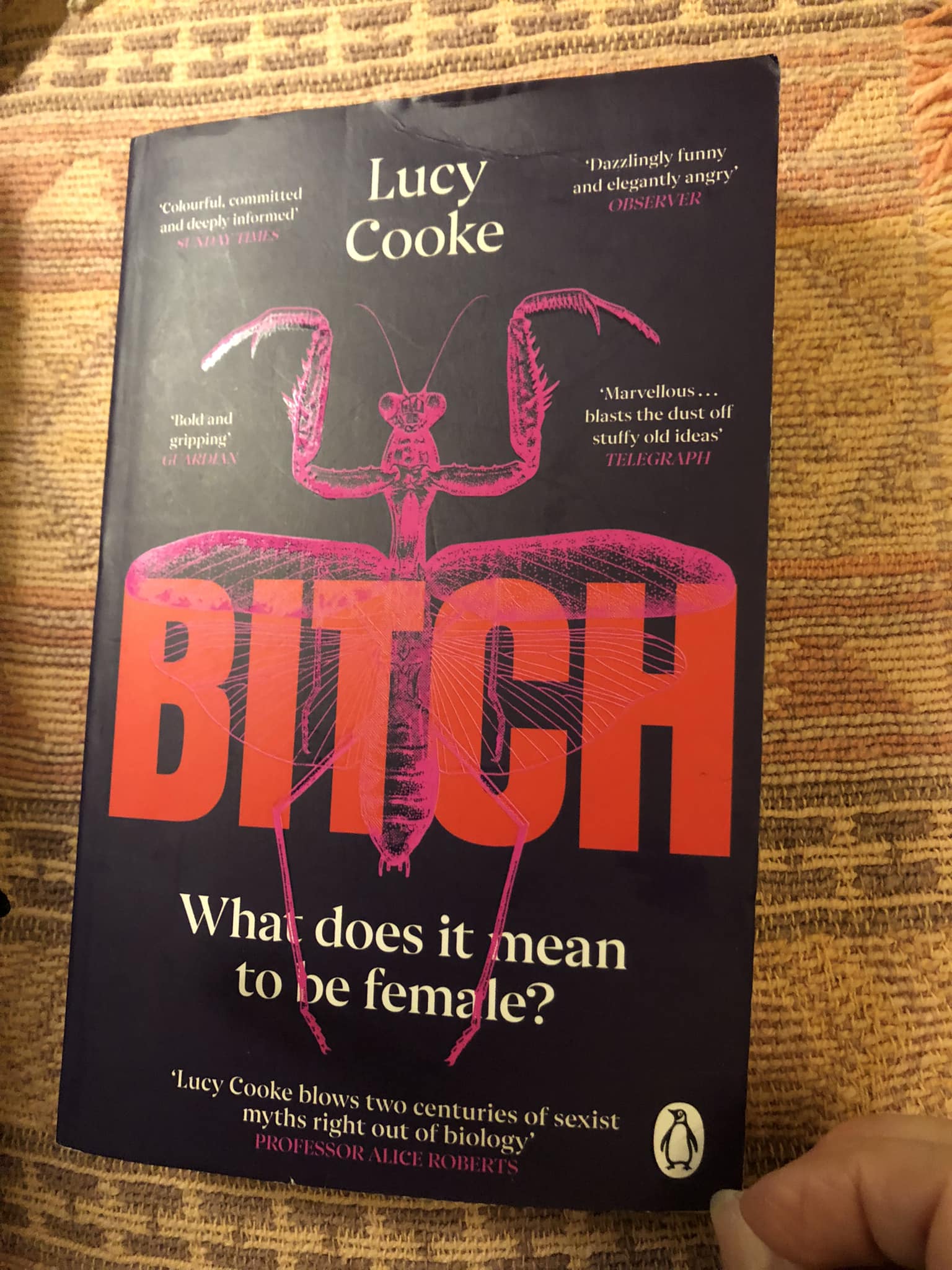 Bitch by Lucy Cooke