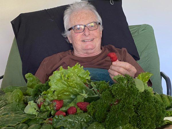 Saten with strawberries