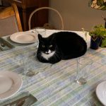 Unexpected centrepiece cr Susan Berry