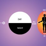 Vertical and horizontal line