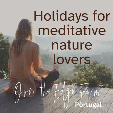 Holidays on Over the Edge Farm Portugal Holidays on Over the Edge Farm Portugal