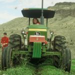 Deeree tractor - harversting potatoes