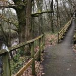 On a walk by Madhuri