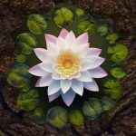 Sacred Shit: Food for Spiritual Unfolding