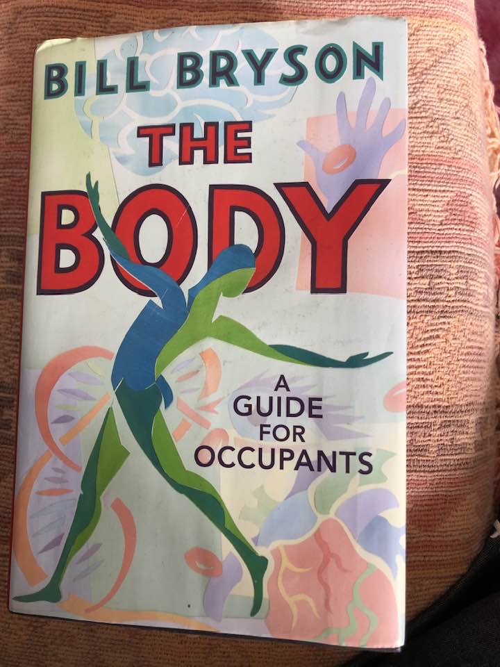 The Body