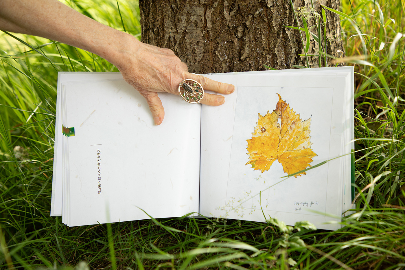 Book of Leaves