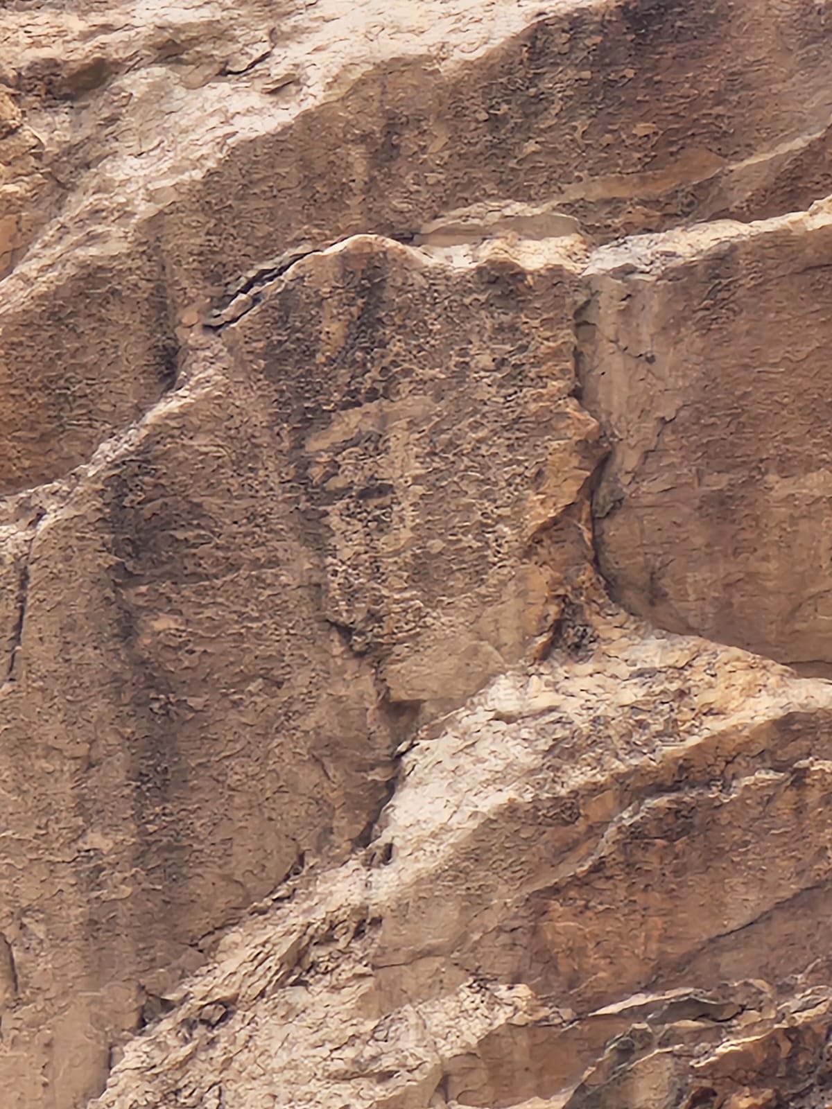 Face in stone
