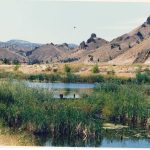 Ponds downtown Rajneeshpuram