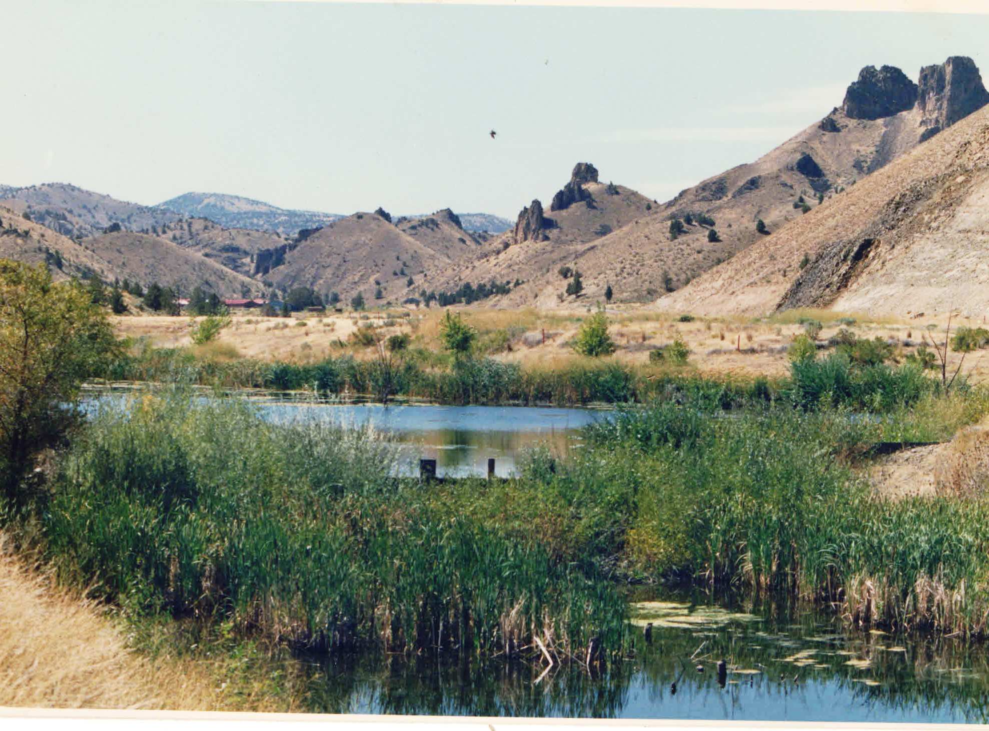 Ponds downtown Rajneeshpuram