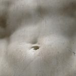 David by Michelangelo