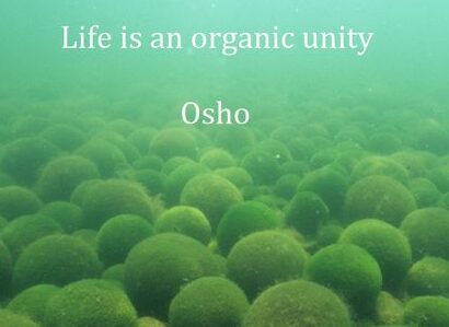 A quote by Osho
