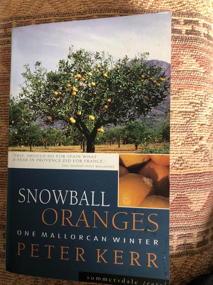 Snowball Oranges one Mallorcan Winter
