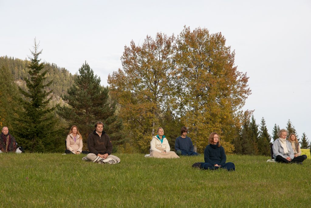 People meditating in field