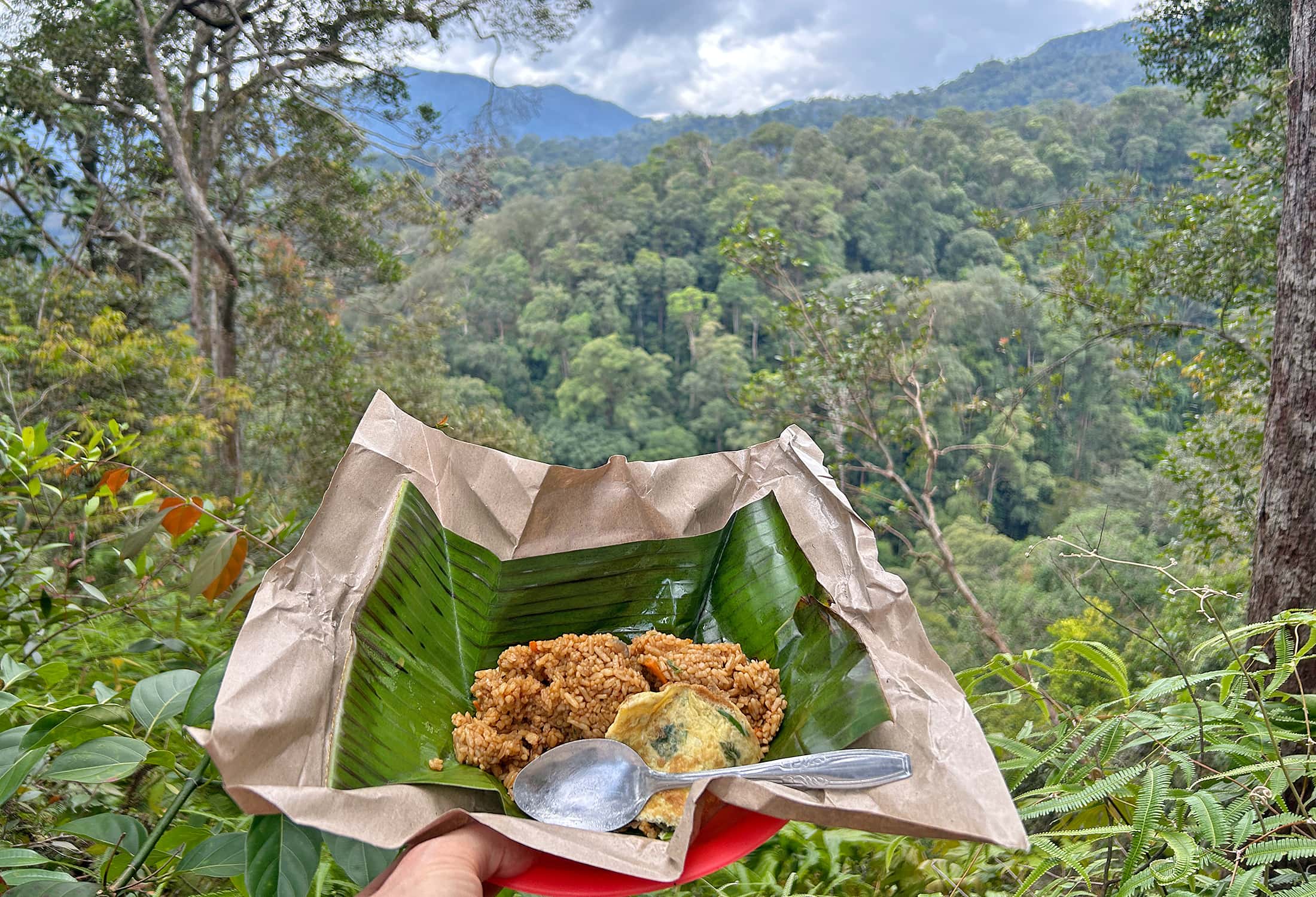 Plate and view of the rainforest