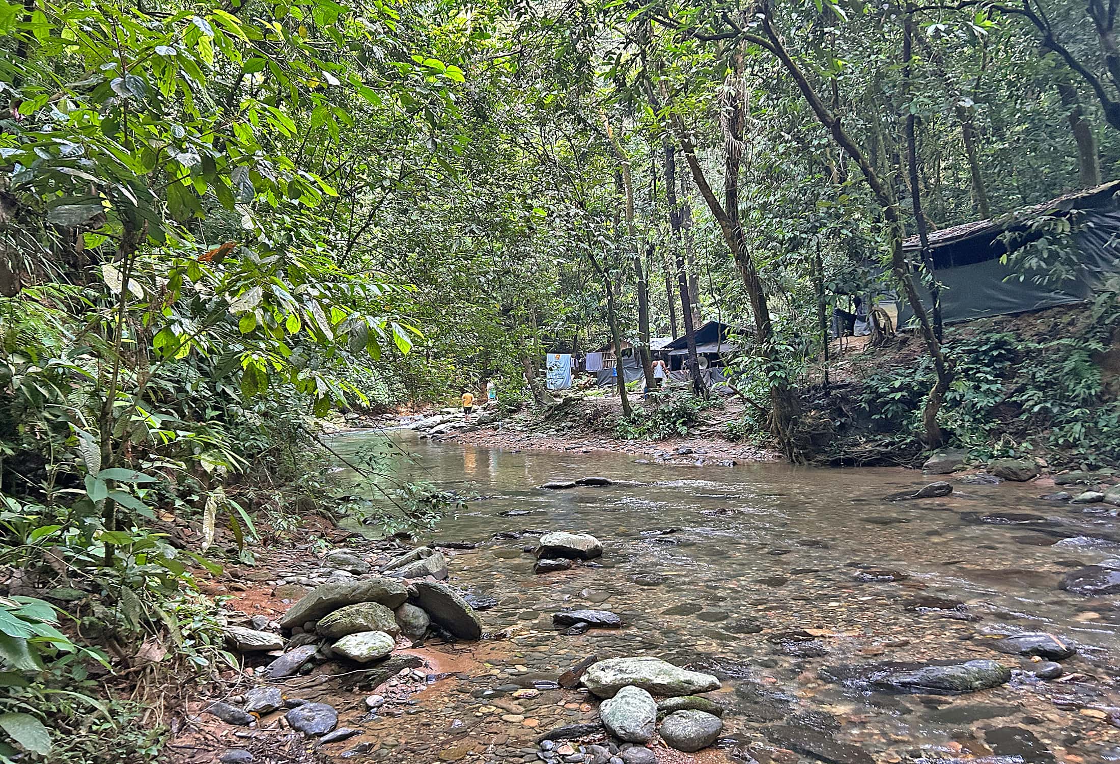 Simple settlement in the forest