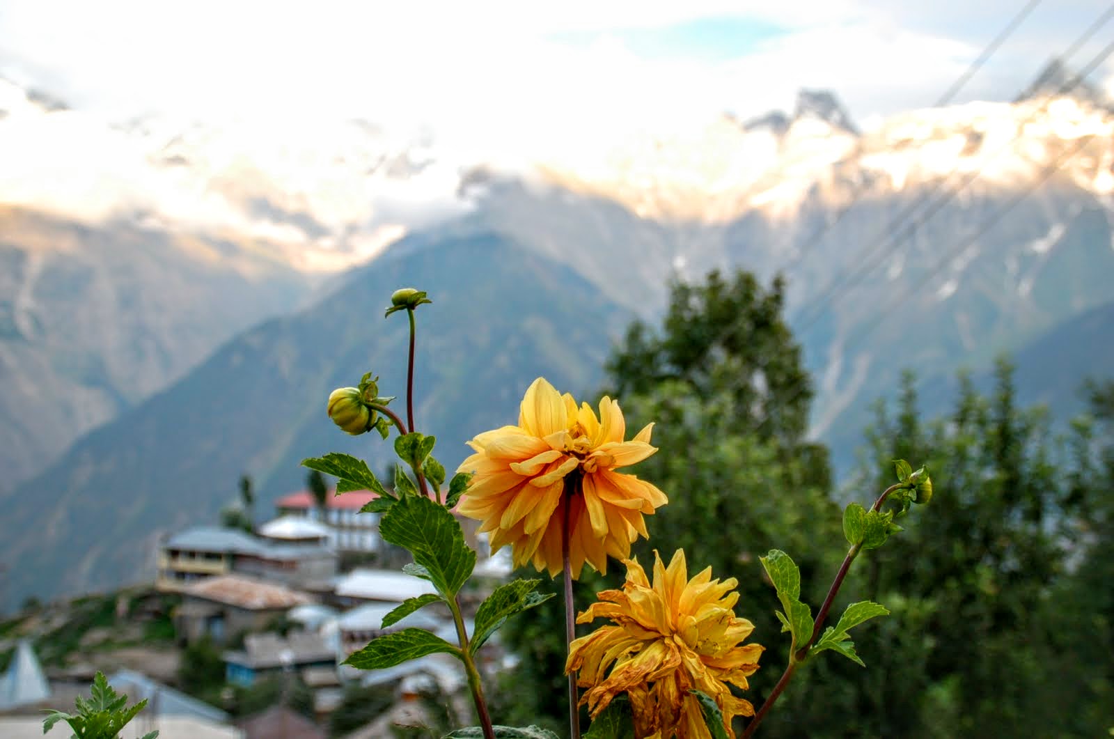 In Kalpa