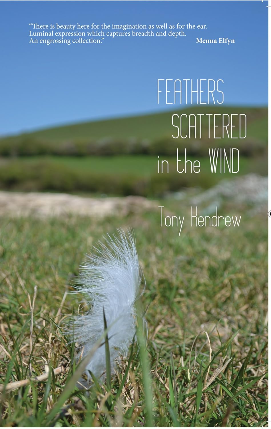 Feathers Scattered in the Wind