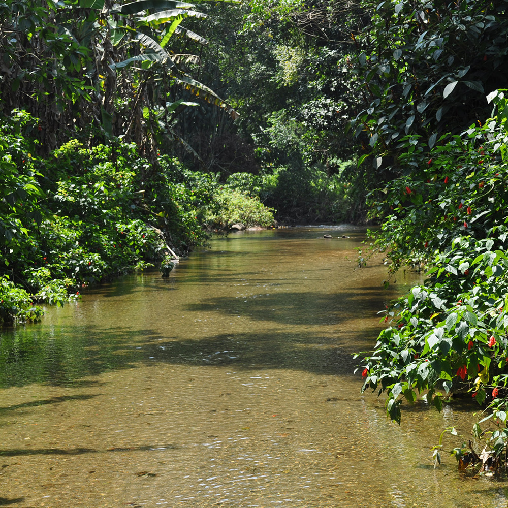 River in Brazil