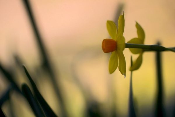 155543384_4781782151848783_4519436689683738898_n