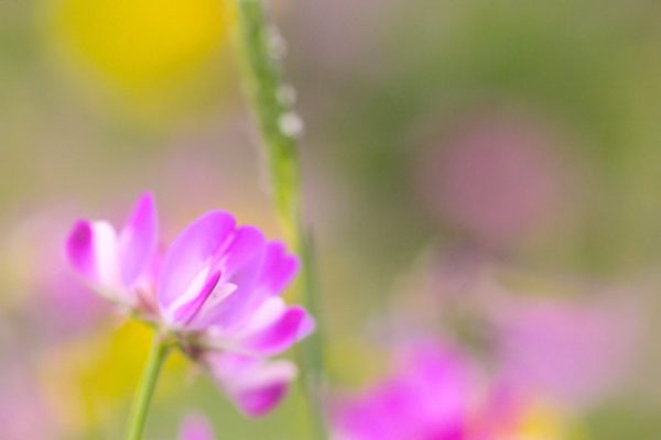 166596909_4873437292683268_7154051293904684967_n