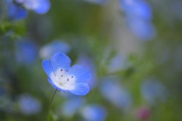 167031001_4873437289349935_2652399990717469255_n