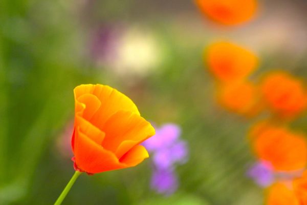 167348506_4880533051973692_4410914195321964901_n