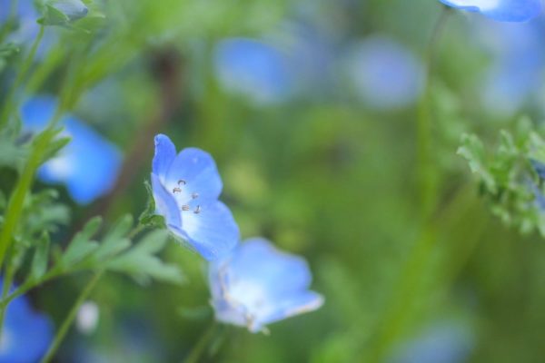 168060252_4873437269349937_1999888975809620184_n