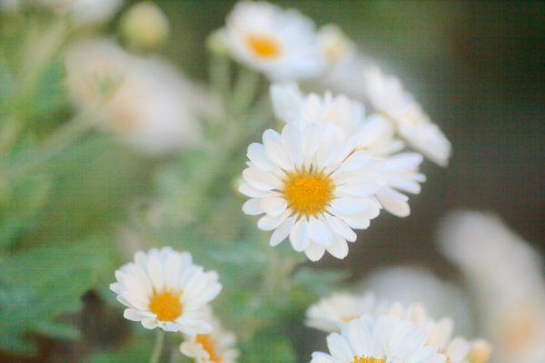 468977161_10075683532458592_2326921241898644563_n