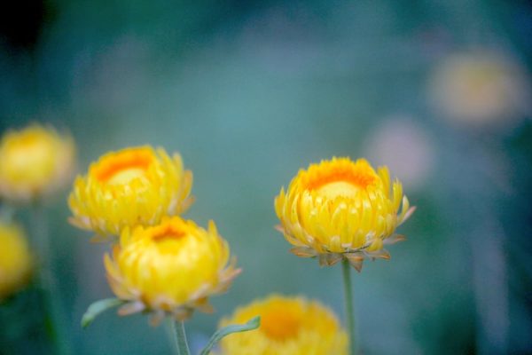 476647722_24219420227658352_3573045841874893724_n