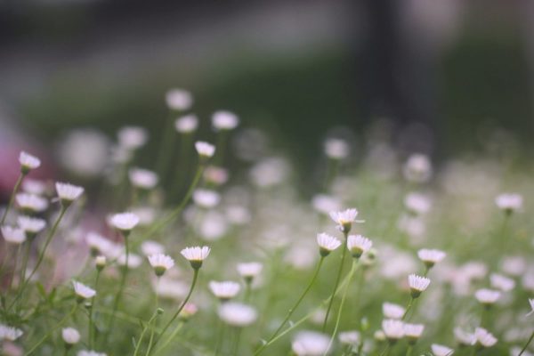 476797576_24219420254325016_6683388307625462183_n