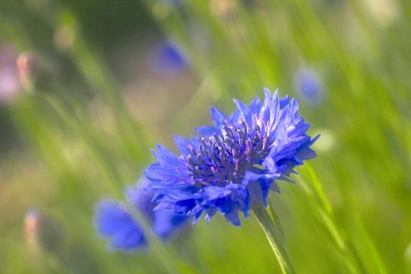 487877553_24558993970367641_6985193660001831558_n