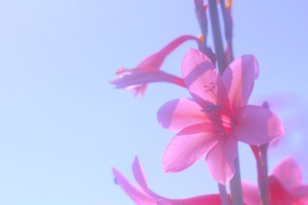 488517863_24565468033053568_7425799524733688325_n