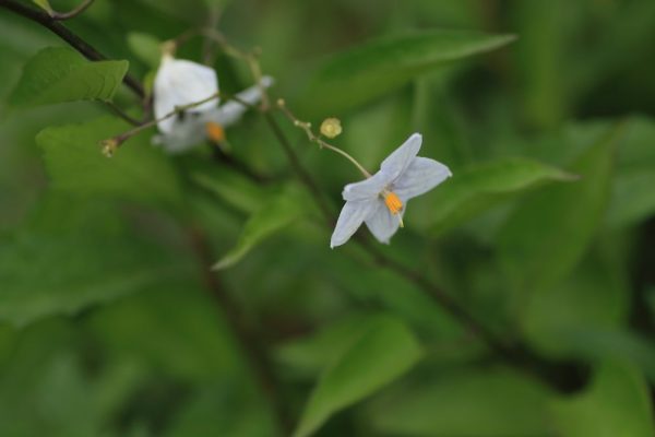 489314349_24577303885203316_2190078133288261716_n