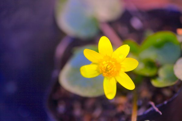 494614756_24770843635849339_7402131150496472222_n