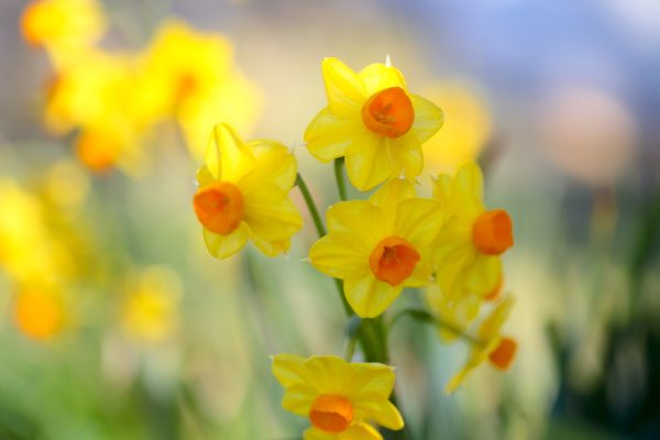 495025318_24770843812515988_5410582072404218947_n