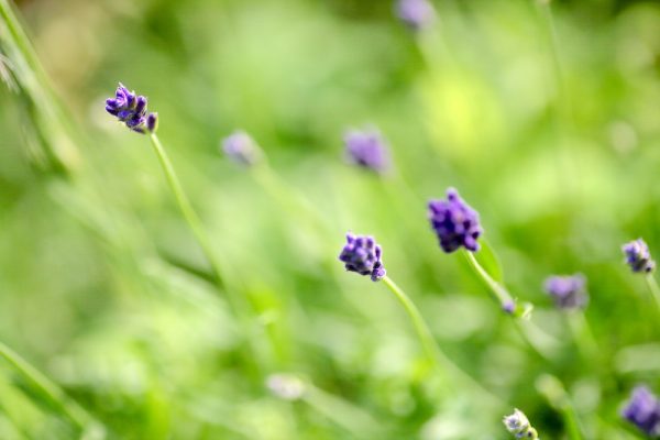 496858137_24866907232909645_149671223428019882_n