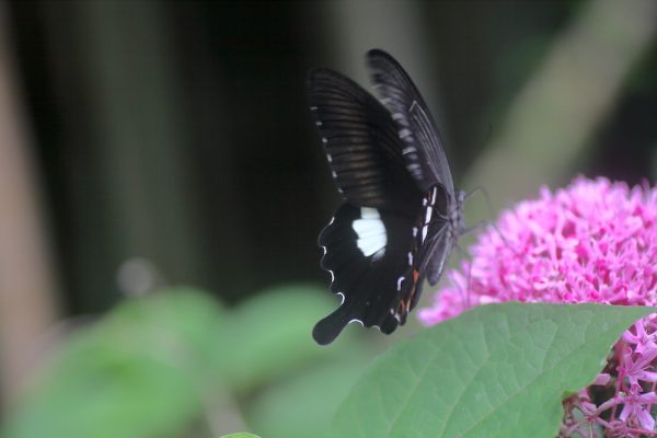 497816471_24889949743938727_3523136014813077607_n