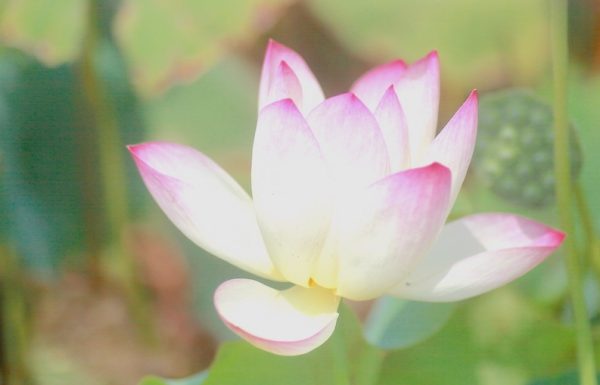 505732559_25100210509579315_1270441647831051757_n