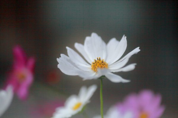 566229182_26249634531303568_8738585757020435466_n