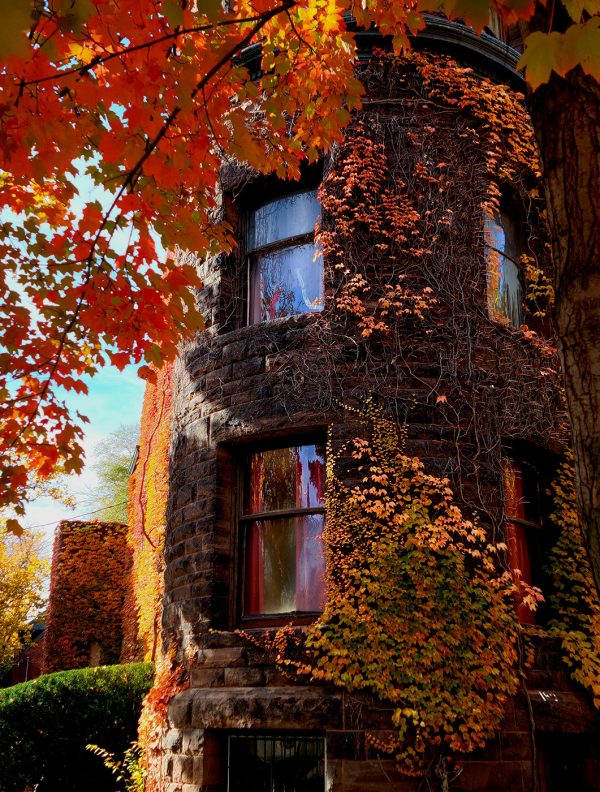 330-20221030_140409(1)