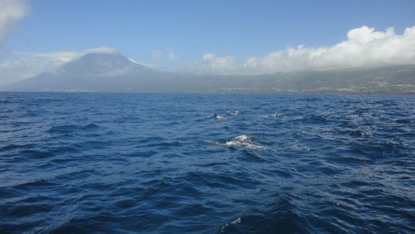 26252006252020122520-DSC08274