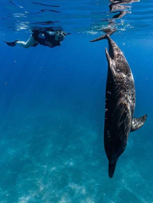 Design-sans-titre-2-1