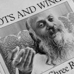 Roots and Wings cover