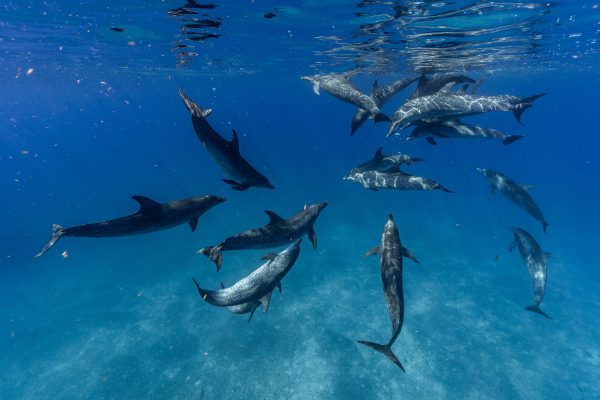 SacredJourney-14.08-675