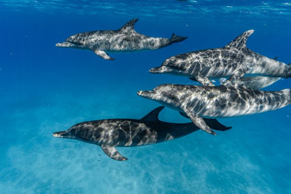 SacredJourney-14.08-687