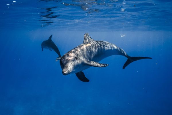 SacredJourney-15.08-695-2-2048x1366