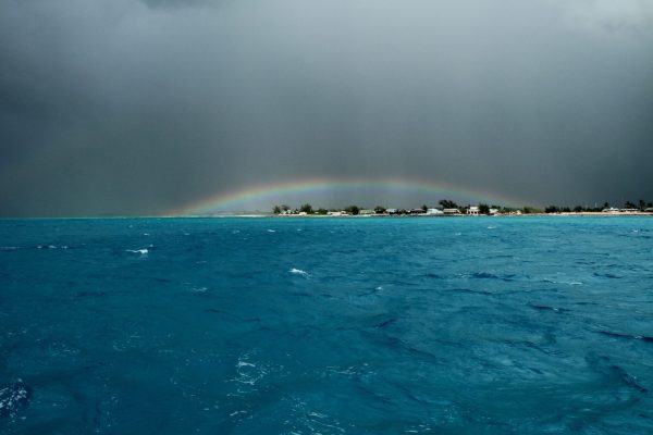 WildQuest_Dolphin_Swim_30_13-36-1536x1024