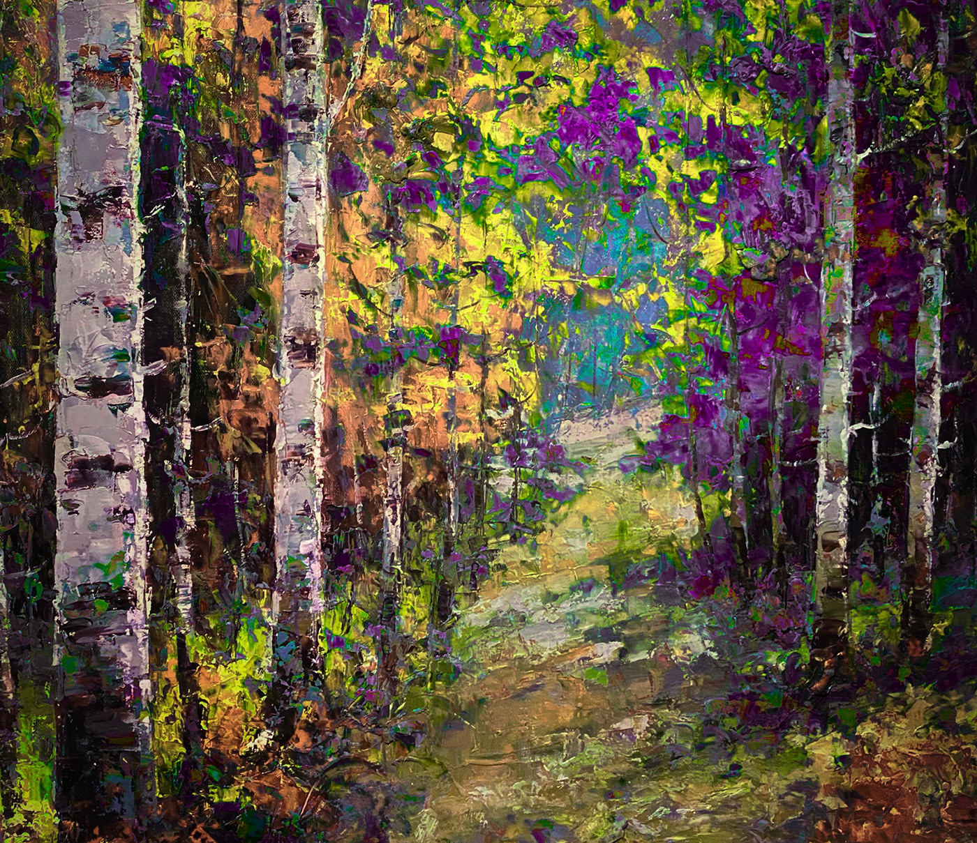 Silverbirches by Sudheer